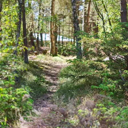 Olla - 400m From The Sea By Interhome